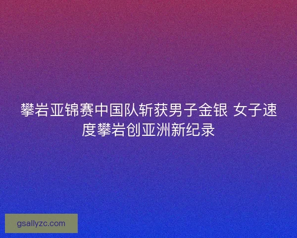 攀岩亚锦赛中国队斩获男子金银 女子速度攀岩创亚洲新纪录 攀岩亚锦赛中国队斩获男子金银 女子速度攀岩创亚洲新纪录